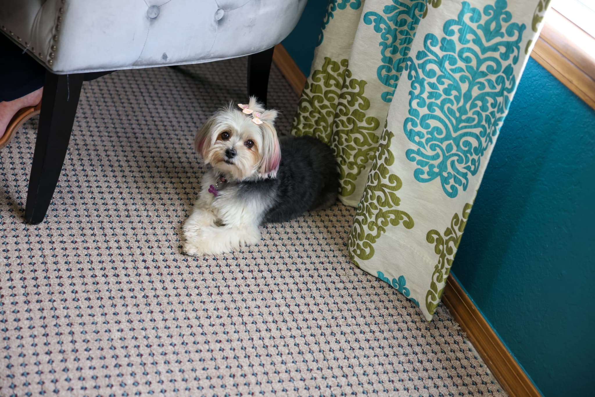 May, Mascota de la Oficina · Stansel Insurance Agency